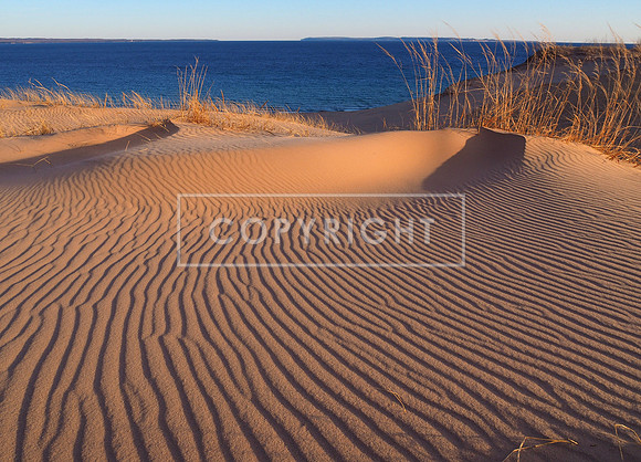 Wind Swept Dunes