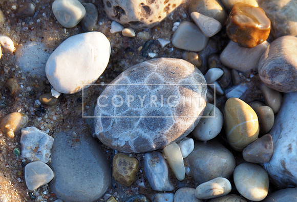 Sunrise Petoskey Stone