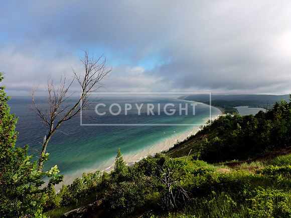 Foggy Empire Bluffs