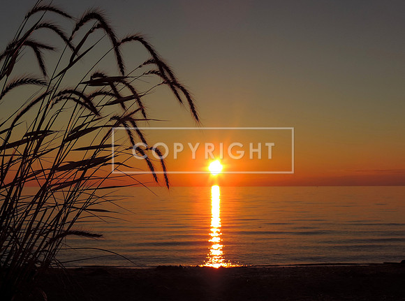 Beach Grass Sunset, Lake Michigan