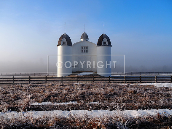 Freezing Fog at D.H. Day Farm in Northern Michigan, near Sleeping Bear Dunes.
