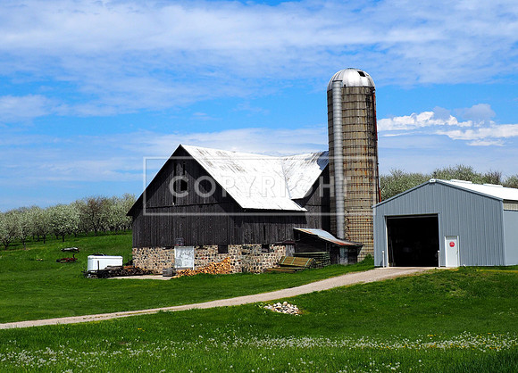 Spring Farm 8