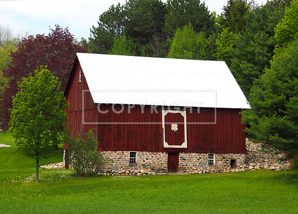 Spring Farm 7
