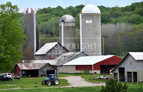 Spring Farm 4