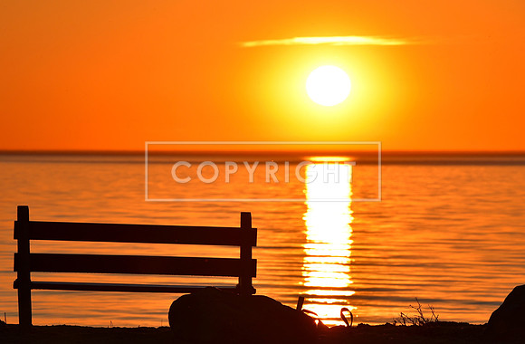 Sunset Bench