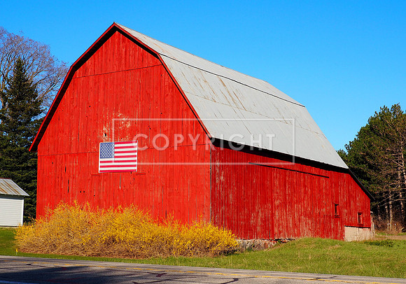 Spring Farm 6