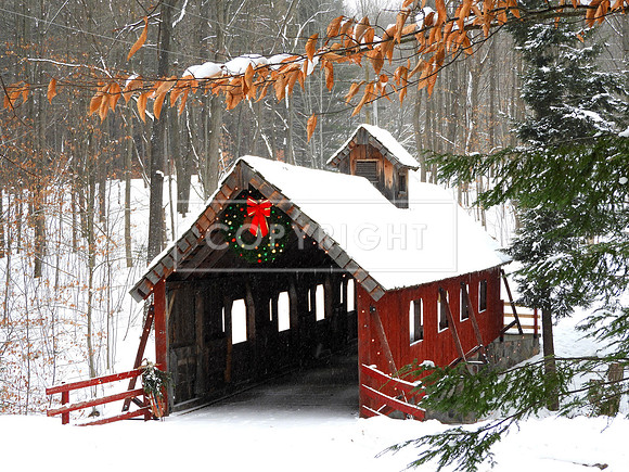Loon Song Covered Bridge 3