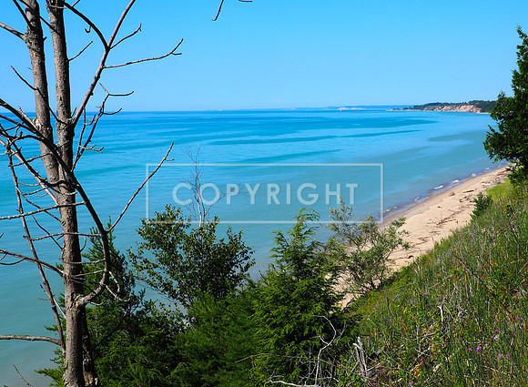 Manistee