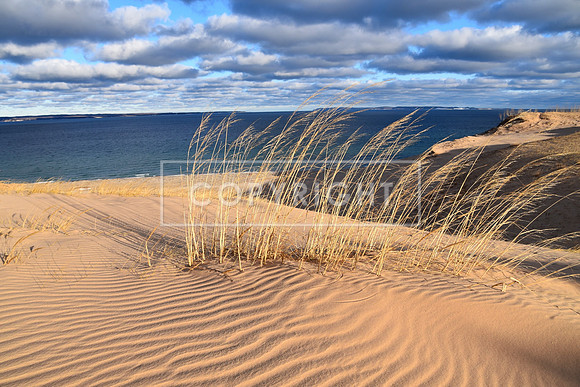 Wind Swept Dunes