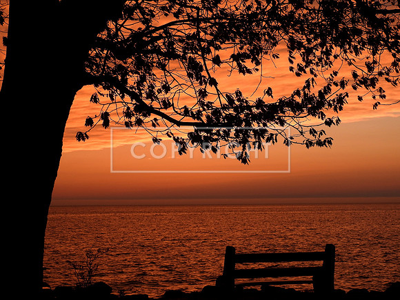 Sunset Bench at Empire Beach